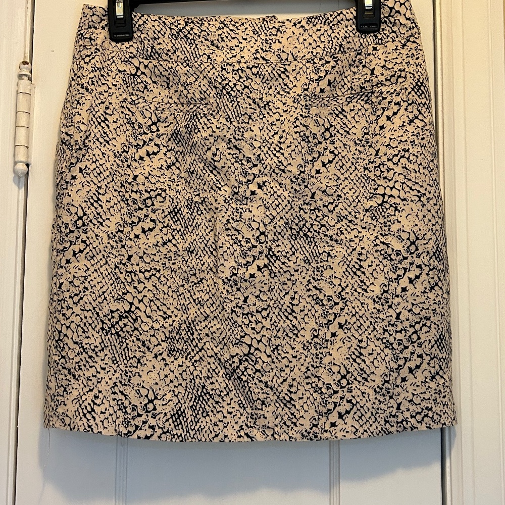 Skirt